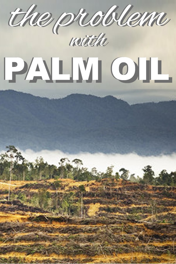 The problem with palm oil from www.goingzerowaste.com #palmoil 