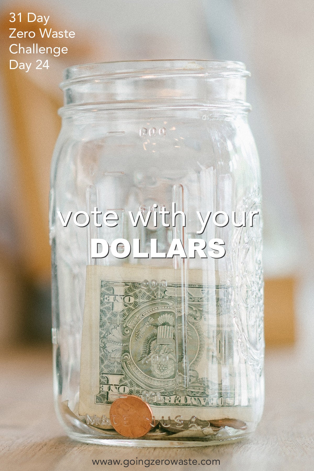 Vote With Your Dollars - Day 24 of the Zero Waste Challenge from www.goingzerowaste.com #zerowaste #ecofriendly #gogreen #sustainable #zerowastechallenge #challenge #sustainablelivingchallenge #votewithyourdollars