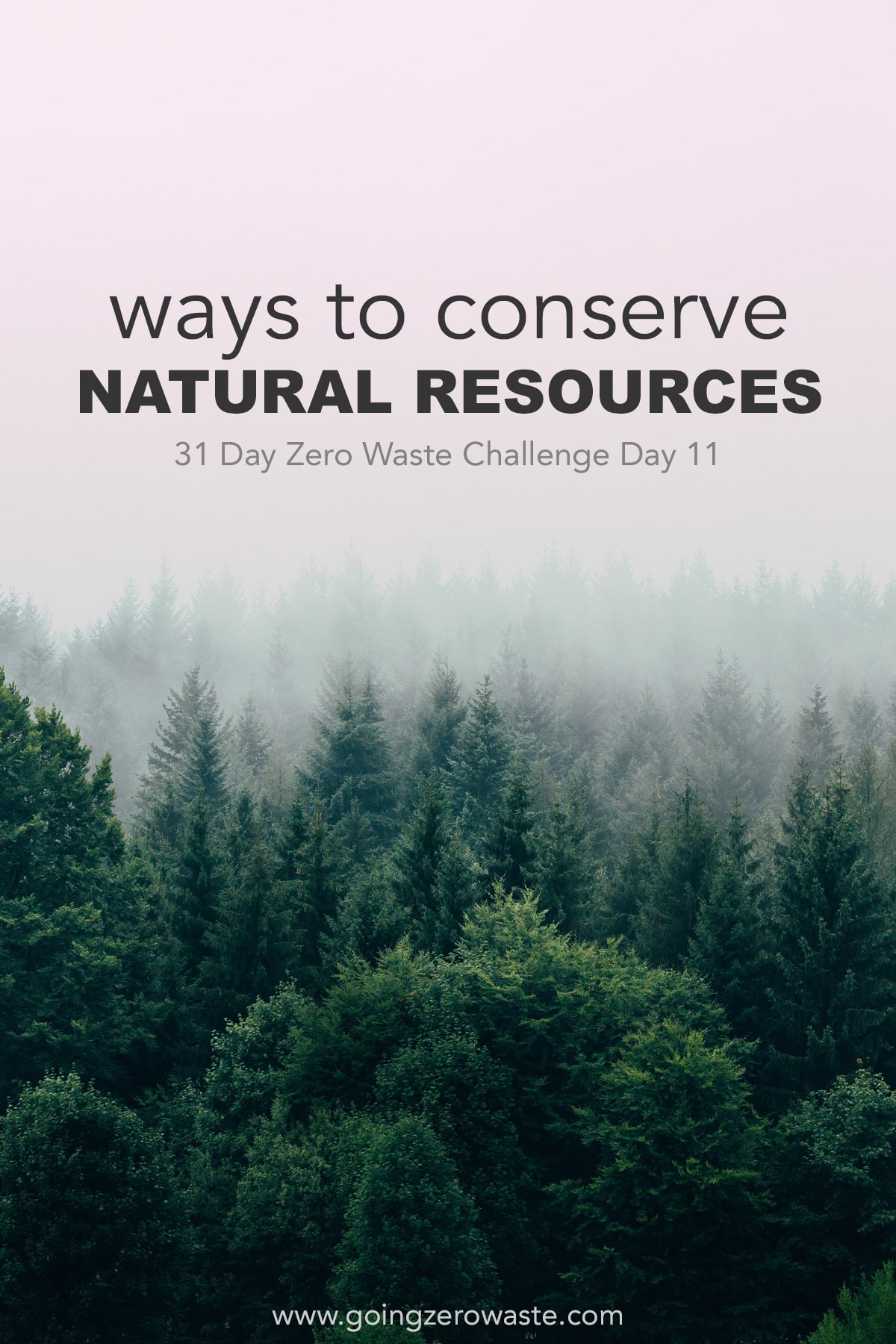 Ways to Conserve our Natural Resources - Day 11 of the Zero Waste Challenge from www.goingzerowaste.com #zerowaste #ecofriendly #gogreen #sustainable #zerowastechallenge #challenge #sustainablelivingchallenge #conservation #naturalresources