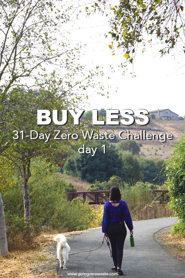 Buy Less - Day 1 of the Zero Waste Challenge from www.goingzerowaste.com #zerowaste #ecofriendly #gogreen #sustainable #zerowastechallenge #challenge #sustainablelivingchallenge #BuyLess