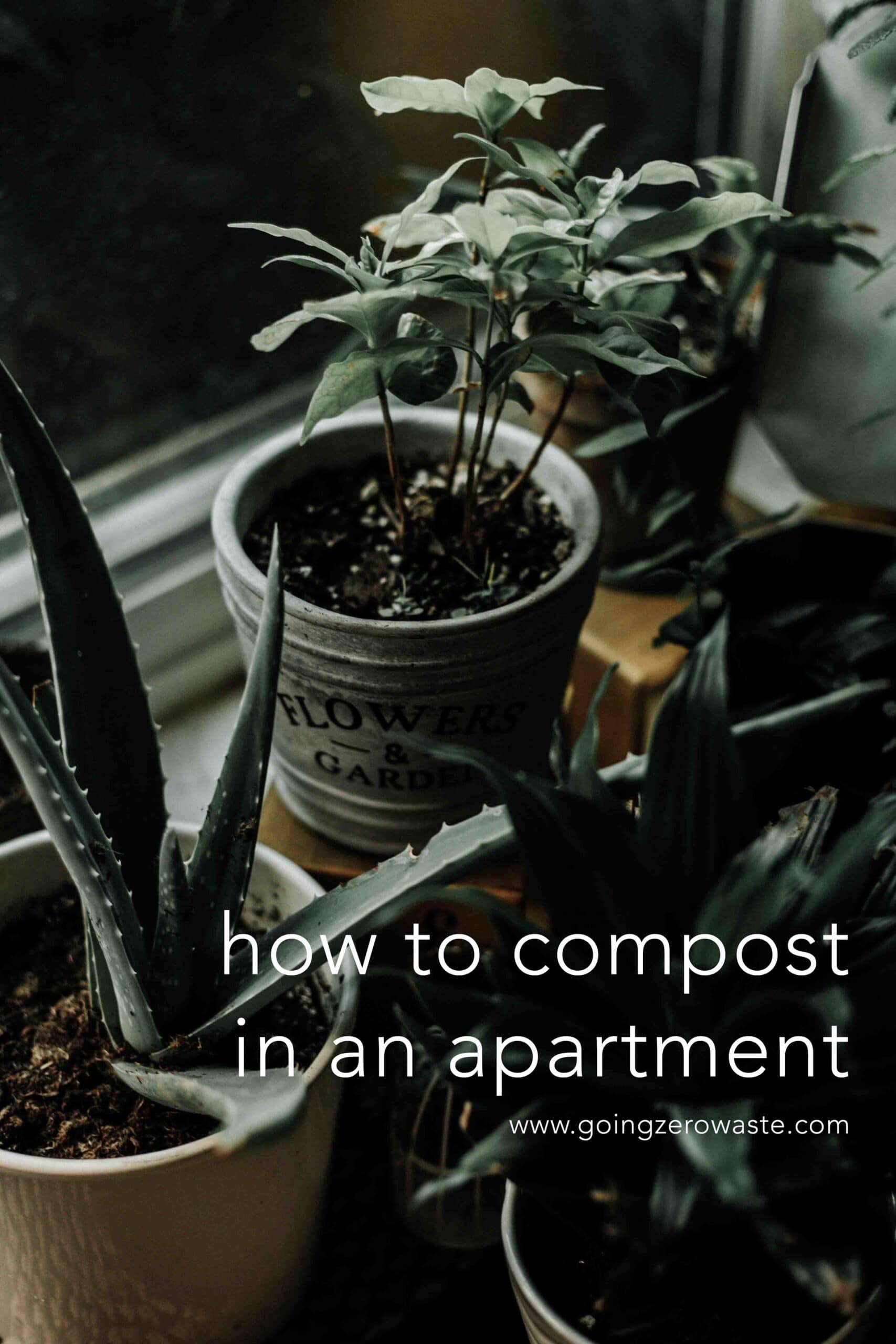 Bokashi Composting: A Step-by-Step Guide to Indoor Composting