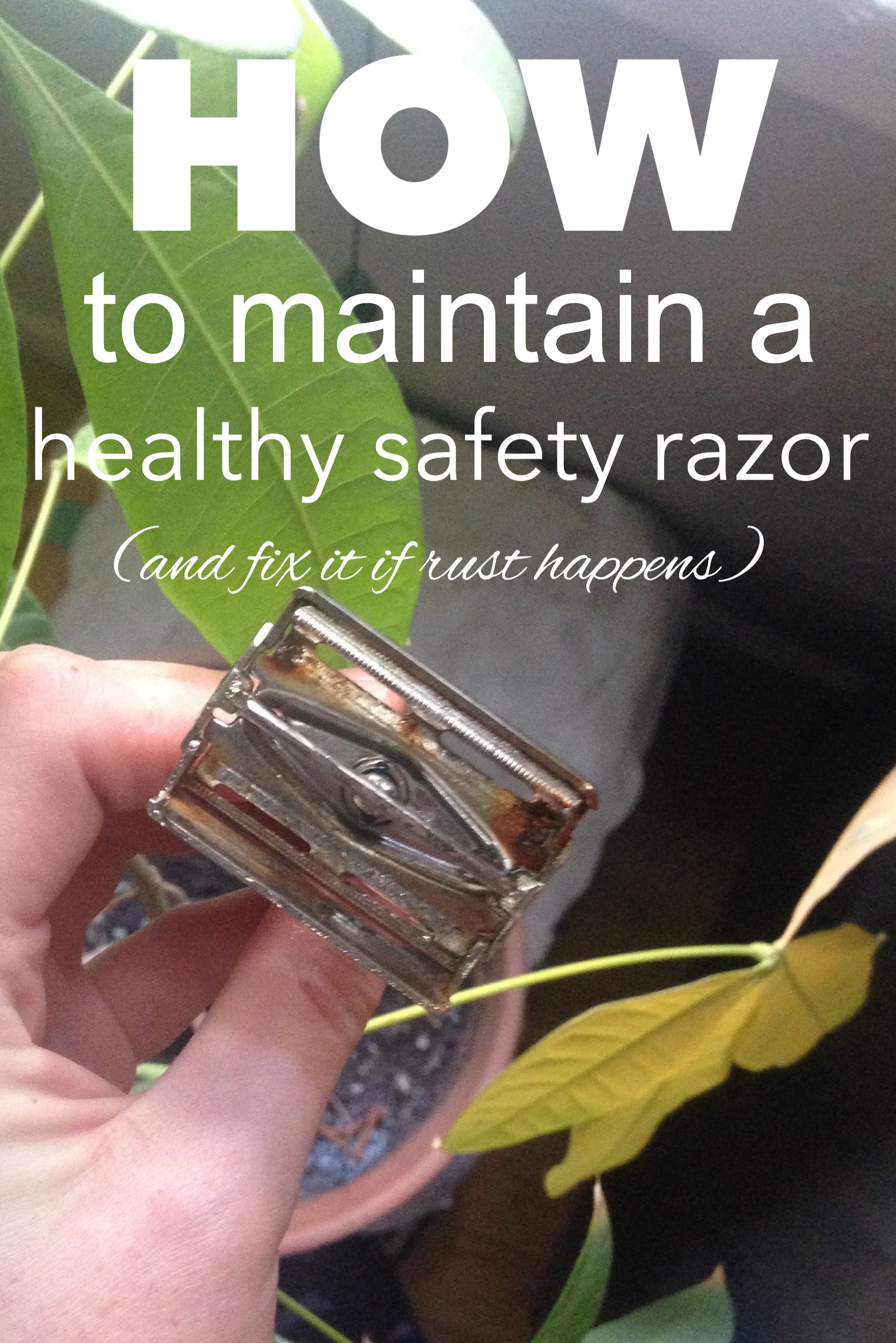 clean safety razor vinegar