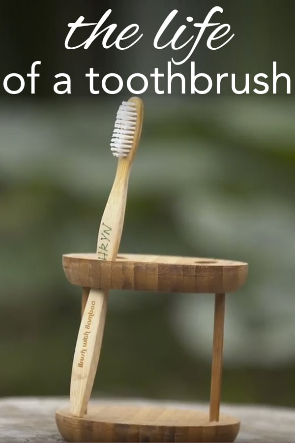 the life of a toothbrush from www.goingzerowaste.com #zerowaste #toothbrush #bamboo #bambootoothbrush