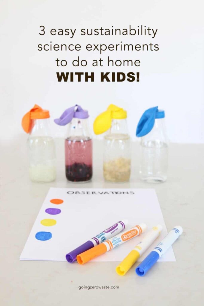 3 Simple Sustainability Science Experiments To Do At Home With Kids Going Zero Waste