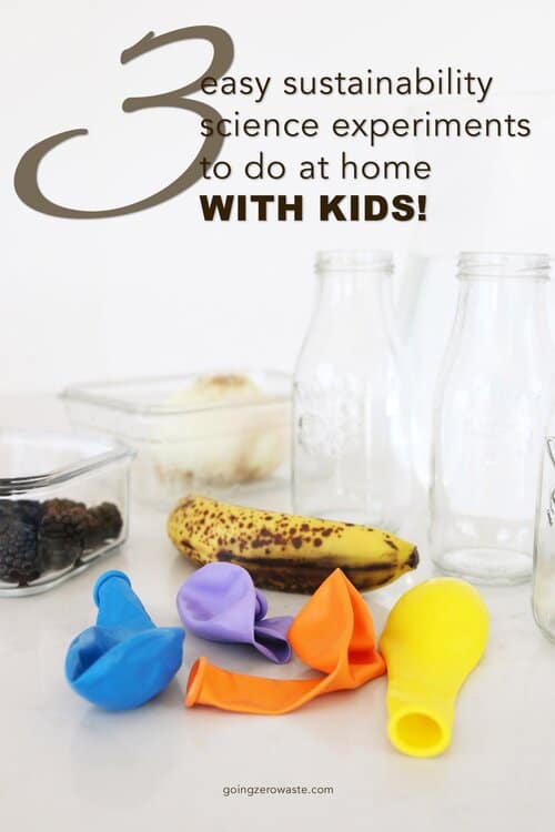 3 Simple Sustainability Science Experiments To Do At Home With Kids, Tracking Food Waste from www.goingzerowaste.com #zerowaste #foodwaste #scienceexperiements #kids #science #scienceproject #zerowaste #ecofriendly
