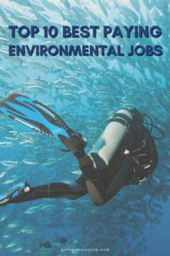 10 Best Paying Environmental Science Jobs - Going Zero Waste