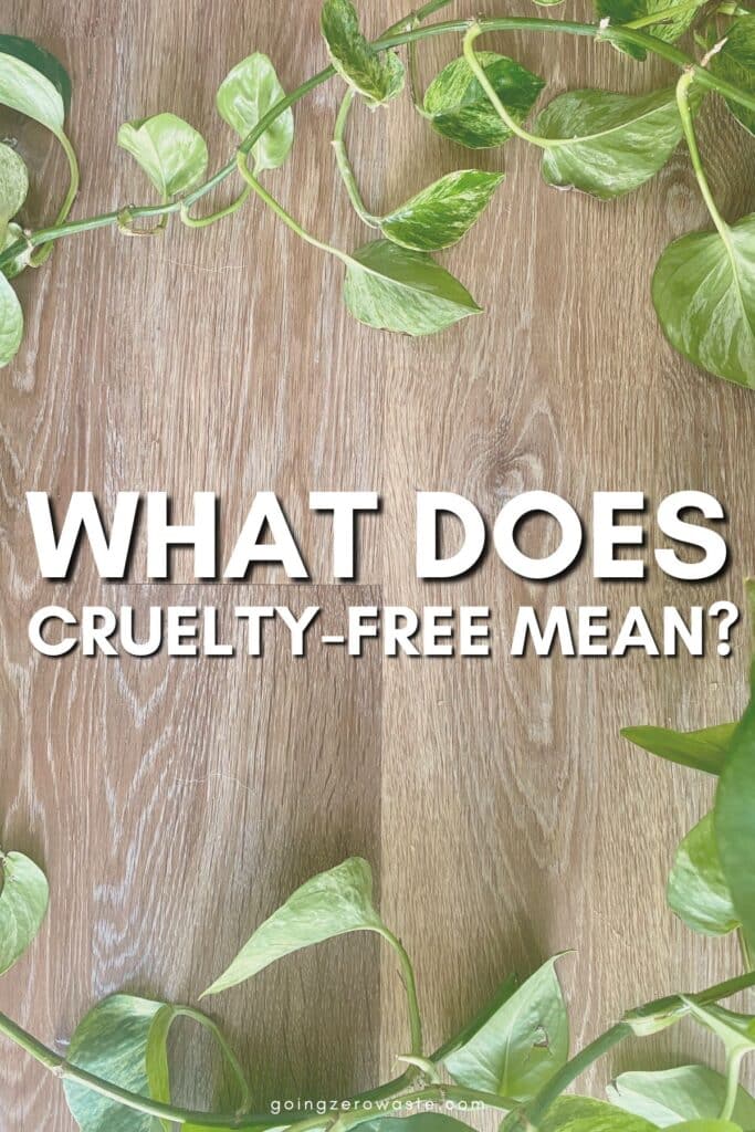 What Does Cruelty-Free Mean? +10 Ethical Brands